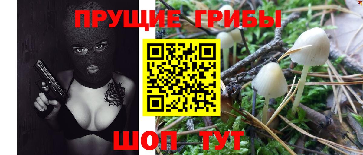 Нерюнгри  Псилоцибиновые грибы GOLDEN TEACHER  Вход с VPN 